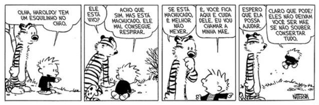 Foto Quer aprender a fotografar seus filhos? Foto Quer aprender a fotografar seus filhos? - Imagem 0